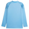 PUMA Manchester City FC 1/4-Zip Trainings-Top Herren