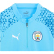 PUMA Manchester City FC 1/4-Zip Trainings-Top Herren