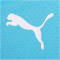 PUMA Manchester City FC 1/4-Zip Trainings-Top Herren