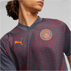 PUMA Manchester City FC Trainingsshirt Herren