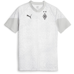 PUMA Borussia Mönchengladbach Trainingsshirt Herren