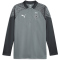PUMA Borussia Mönchengladbach 1/4-Zip Trainings-Top Herren