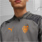 PUMA Valencia CF 1/4-Zip Trainings-Top Herren