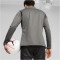 PUMA Valencia CF 1/4-Zip Trainings-Top Herren