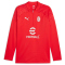 PUMA AC Milan 1/4-Zip Trainings-Top Herren