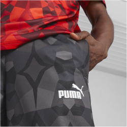 PUMA FRMF FtblCulture Trainingshose Herren
