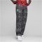 PUMA FRMF FtblCulture Trainingshose Herren