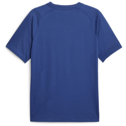 PUMA Olympique de Marseille Aufwärmtrikot 2023/24 Herren