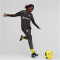 PUMA BVB Borussia Dortmund Trainingshose Herren