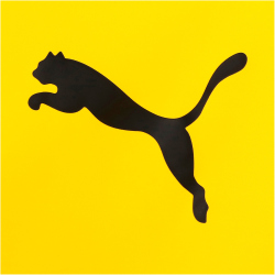 PUMA BVB Borussia Dortmund Training Allwetterjacke Herren