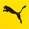 PUMA BVB Borussia Dortmund Training Allwetterjacke Herren