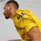 PUMA BVB Borussia Dortmund Ausweichtrikot 2023/24 Herren
