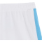 PUMA Manchester City FC CB Replica Shorts 2023/24 Herren