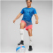 PUMA individualRISE Graphic Trikot Herren
