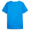 PUMA individualRISE Graphic Trikot Herren