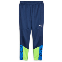 PUMA individualCUP Trainingshose Herren