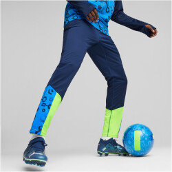 PUMA individualCUP Trainingshose Herren