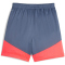 PUMA individualCUP Fußballshorts Kinder