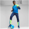 PUMA individualCUP 1/4-Zip Top Herren