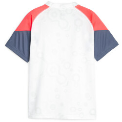 PUMA individualCUP Trikot Kinder