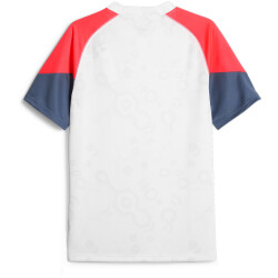PUMA individualCUP Trikot Herren