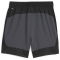 PUMA King Pro Fußballshorts Herren