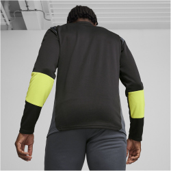 PUMA King Pro 1/4-Zip Top Herren