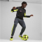 PUMA King Pro 1/4-Zip Top Herren