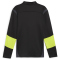 PUMA King Pro 1/4-Zip Top Herren