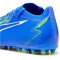 PUMA Ultra Match MG Multi-Ground Fußballschuhe Herren
