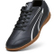 PUMA Vitoria IT Hallen-Fußballschuhe Herren