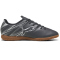 PUMA Attacanto IT Hallen-Fußballschuhe Herren