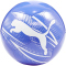 PUMA Attacanto Graphic Fußball