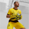 PUMA BVB Borussia Dortmund Ultra Grip 4 RC Torwarthandschuhe 