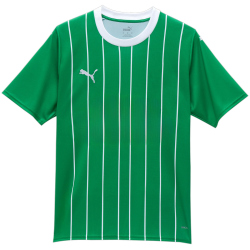 PUMA SK Rapid Wien Heimtrikot 2023/24 Template Herren 01...