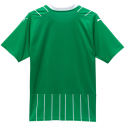 PUMA SK Rapid Wien Heimtrikot 2023/24 Template Herren 01...