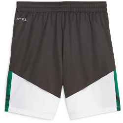 PUMA Borussia Mönchengladbach Trainingsshorts Herren...