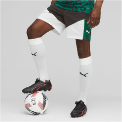 PUMA Borussia Mönchengladbach Trainingsshorts Herren 09 - power green/puma black S