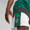 PUMA Borussia Mönchengladbach Trainingsshorts Herren 09 - power green/puma black S