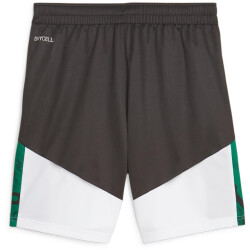 PUMA Borussia Mönchengladbach Trainingsshorts Herren...