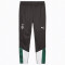 PUMA Borussia Mönchengladbach Trainingshose Herren 09 - power green/puma black S