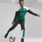 PUMA Borussia Mönchengladbach Trainingshose Herren 09 - power green/puma black S
