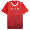 PUMA WWC SFV Schweiz Replica Heimtrikot 2023/24 Herren 01 - PUMA red/PUMA white M