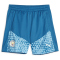 PUMA Manchester City FC Trainingsshorts Kinder 06 - lake blue/team light blue 152