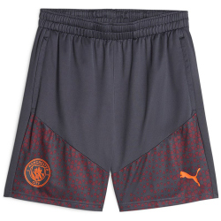 PUMA Manchester City FC Trainingsshorts Herren 16 -...