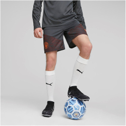 PUMA Manchester City FC Trainingsshorts Herren 16 -...