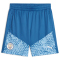 PUMA Manchester City FC Trainingsshorts Herren 06 - lake blue/team light blue M