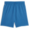 PUMA Manchester City FC Trainingsshorts Herren 06 - lake blue/team light blue M
