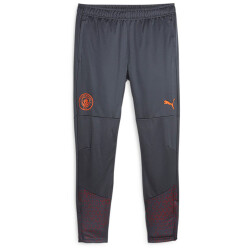 PUMA Manchester City FC Trainingshose Herren 16 - strong...