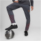 PUMA Manchester City FC Trainingshose Herren 16 - strong gray/aubergine XS